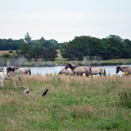 Апартаменты Tim's Huus Strandbrise